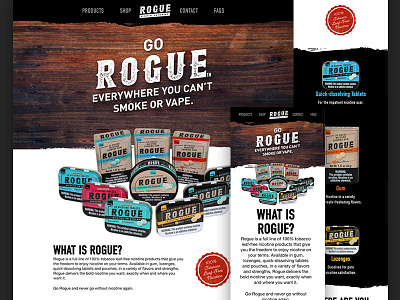 Rogue reskin skin ui user interface website design