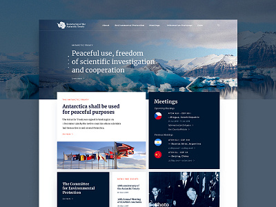 Antarctic Treaty Web Design design art geometric information mondrian ui ux web website