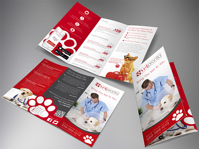 Contest Winning Design for a Vetpronto Trifold Brochure animal animals brochure layout trifold veterinary