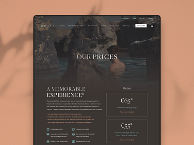 Hygeia — Prices brand branding colour design digital identity logo ui webdesign website