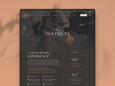 Hygeia — Prices brand branding colour design digital identity logo ui webdesign website