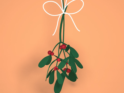 Mistletoe 2d 3d c4d cinema4d illustrator mistletoe vector