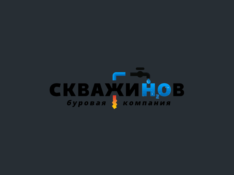 skvazhinov logo after effects animation design brending logo logo animation
