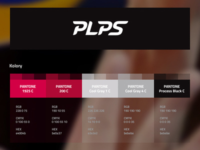 PLPS Brand Book brand book identity logo sport volleyball