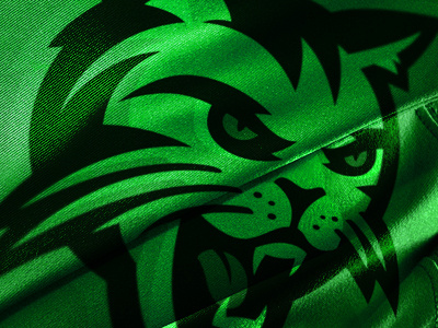 MKS Pruszków basketball cat logo nba sport sports branding wild cat wildcat