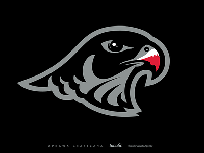 Falcon - Sports Branding bird eagle falcon logo sport sports branding sports design