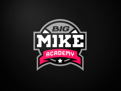 Big Mike Academy academy basketball big mike branding logo michael ansley nba plk sport