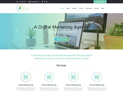 Website Design