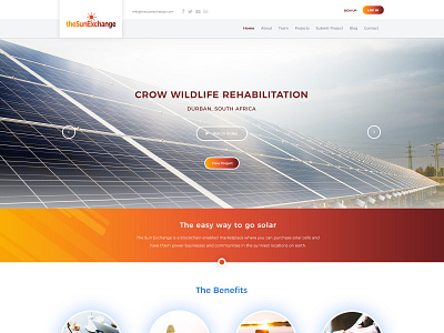 The Sun Exchange - Website Redesign branding cape town design landing page south africa ui user experience user interface