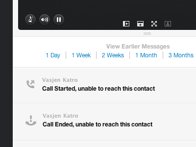 Skype Call Interface