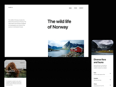 norway magazine design clean design graphic header magazine minimal mobile ui ux visual