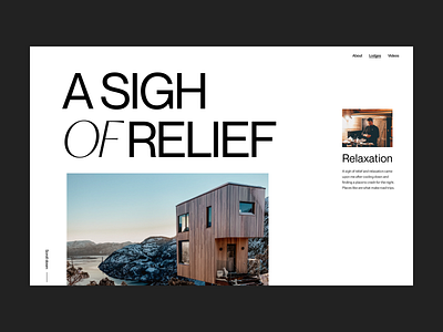 Tiny house website branding clean design header house minimal typography ui ux web webdesign