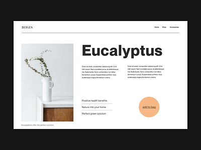 Plants webshop branding design header minimal plant plants shop typography ui ux web webshop