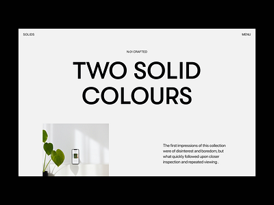 Solids branding design graphic design header minimal typography ui ux web