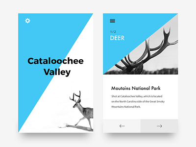 Deer app clean design graphic header minimal mobile ui ux visual web white