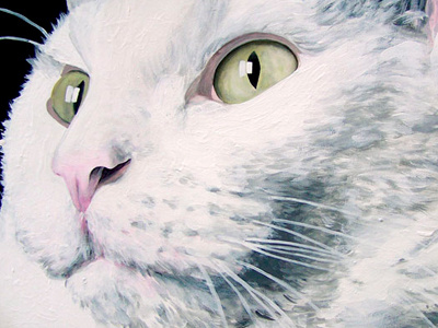 Ninja cat cat close eyes face green kitten pet portait white