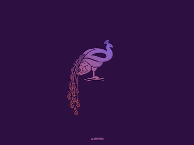 طاووس -peacock