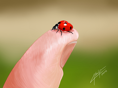 Ladybug bug digital drawing lady ladybird ladybug photoshop stylus tablet traditional wacom