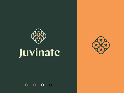 Juvinate | Branding brand branding colorful icon identity logo typography ui ux