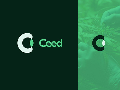 Ceed Labs | Branding brand branding icon identity logo people science typography