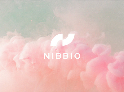 Nibbio | Brand ai artificial intelligence brand branding clouds colorful flying identity logo typography