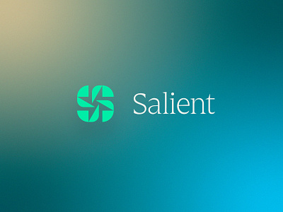 Salient 2 | Brand brand branding doctor identity logo medical medicine people typography wellness