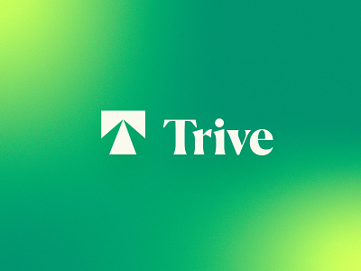 Trive | Automotive Tech Brand auto automotive brand branding car drive driving identity logo road software tech test drive