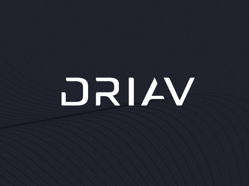 DRIAV | Brand Wordmark tesla automobile autonomous drive logo brandmark icon identity brand