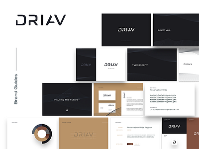 DRIAV | Brand Guides automobile autonomous brand brandmark drive icon identity logo tesla