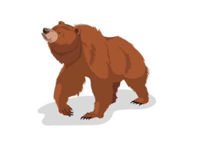 Сurious bear character design characters illustration kids book vector