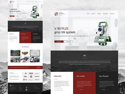 UI & UX Website Design