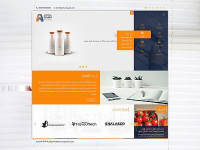 Simple professional site ! design front end ui ux website