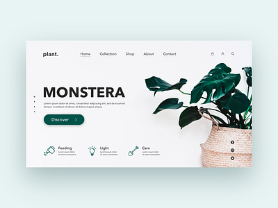 Plant website home page concept by Nigar Novruzova on Dribbble