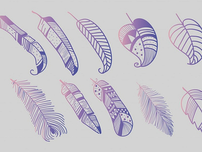 Feathers Vector behance design feather vector feathers flat free vector free vectors graphic design graphic out icon iconography illustration logo vector