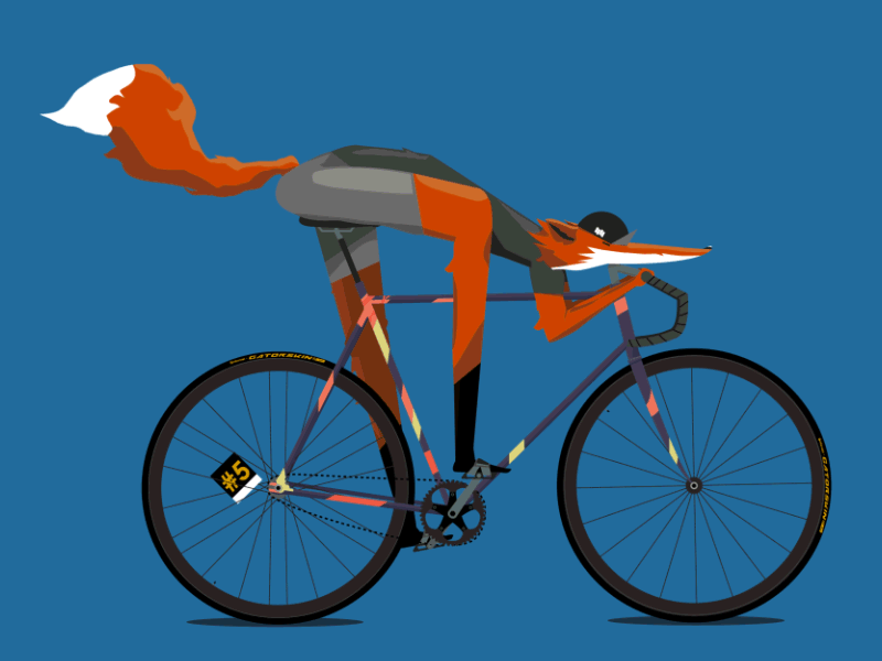 Fox on a bicycle bike fox
