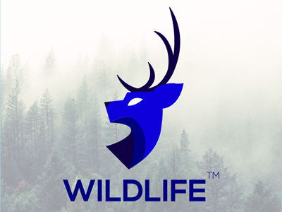 Wildlife deer logo logo challenge logos stag thirty logos wildlife