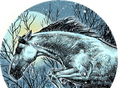 andalusian digital equine horse illustration illustrations ink night