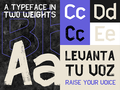 Levanta Sans design font font design free font levanta sans shane richardson teddy viera teodoro viera typeface typography