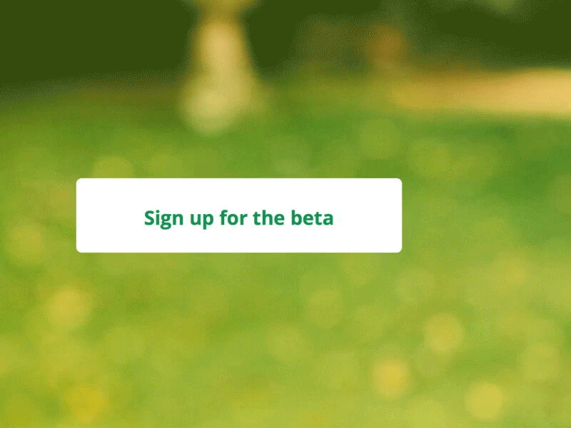 Sign Up button flat form gif