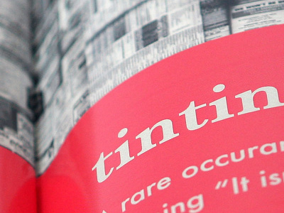 Tarn Talk editorial design graphic design illustration typography