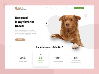 Pet Rescue Organization site concept branding design ui web