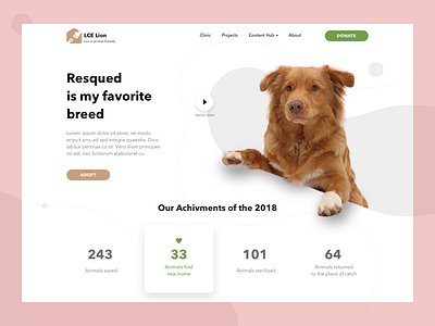 Pet Rescue Organization site concept