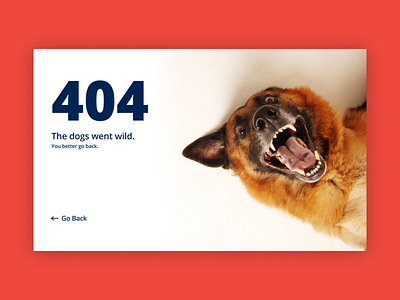 404 page branding clean design dogs error 404 graphic design ui ui design web website