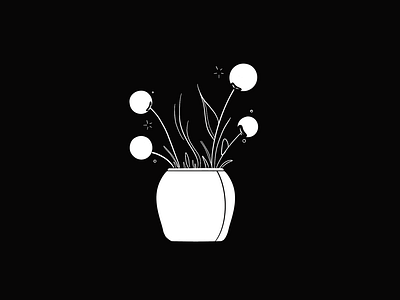 Plants of the World: Dandelions art black black and white blackandwhite debut draw drawing dribbble flower flowers illustration illustrations illustrator nature outdoors plant pot procreate vector white