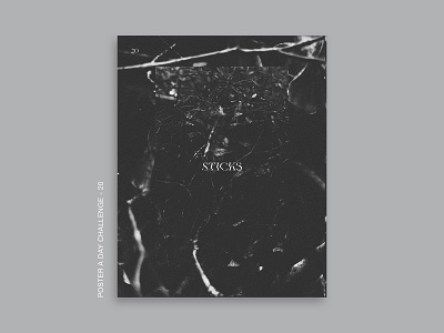 Sticks Poster - 20. Poster a Day Challenge album art album cover book cover design graphic design movieposter poster design posteraday tour poster typography