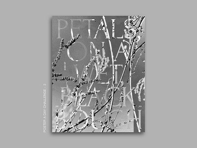 Ezra Pound Poster - 3. Poster a Day Challenge album art album cover design graphic design movieposter poetry poster design posteraday typography