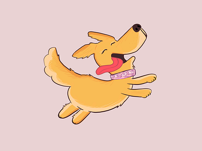 Golden Girl dog gold golden retriever goldie happy dog jump procreate puppy tongue