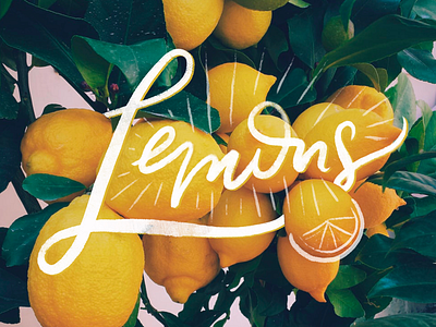 Lemons calligraphy citrus earth fruit grow lemon lemon tree lemonade lemons limon limoncello plants procreate ripe ripen typography