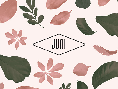 Juni — 01 brand floral illustration logo