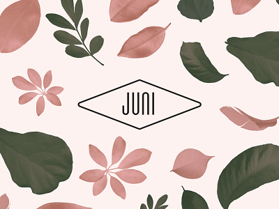 Juni — 01